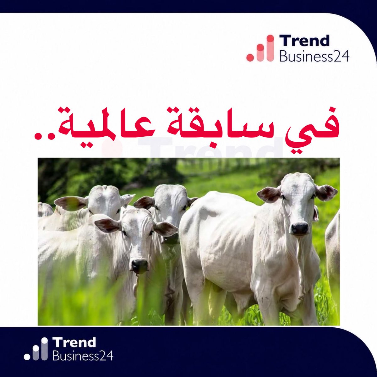 Trendbusiness24 | ترند بزنس tweet media