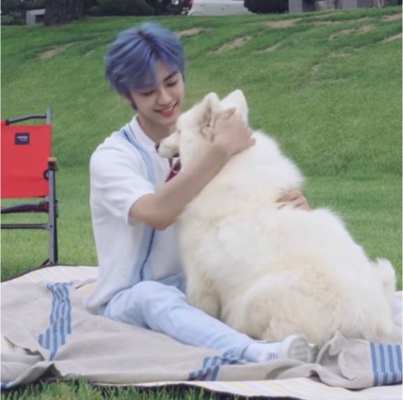 hueofserenity's tweet photo. If you think about it, Jaemin has always gone viral for every single one of these interactions he has with the puppies… THEY LOVE HIM https://t.co/55xmMycdXs