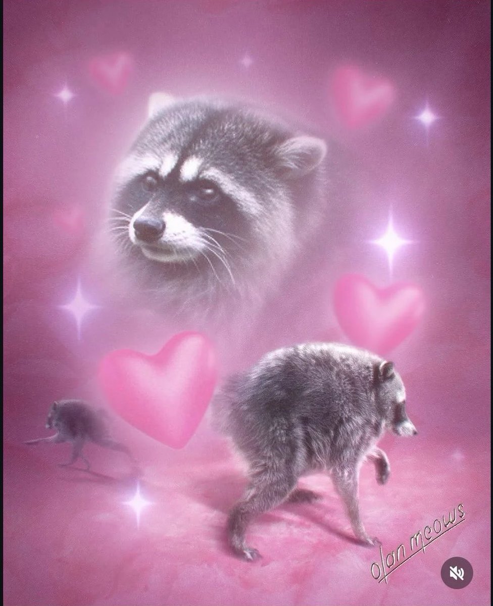 manifestingdiva's tweet photo. GM Jimothy believers 💖🦝 https://t.co/RQ3uwFHF7n