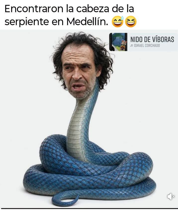hpuerta3's tweet photo. https://t.co/fi9QHKez4d