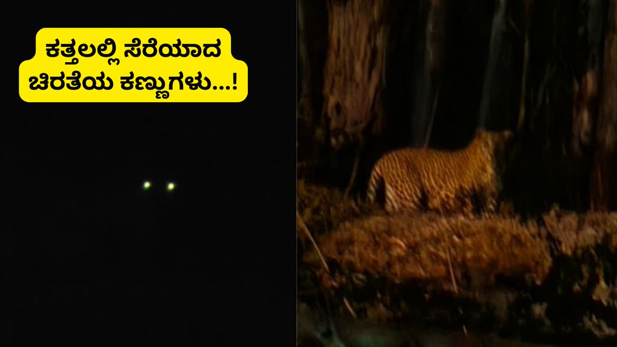 AsianetNewsSN's tweet photo. ಬನಶಂಕರಿ ಬಳಿ ಪ್ರತ್ಯಕ್ಷವಾಯ್ತು ಚಿರತೆ: ವೀಕೆಂಡ್ ಎಂಜಾಯ್ ಮಾಡ್ಬೇಕಾದ್ರೆ ಹುಷಾರು!
Click The Link: https://t.co/kt7NIlkhjx
#LeopardInBengaluru #Banashankari #RRNagar #BengaluruNews #ForestDepartment #LeopardSpotted #KannadaNews