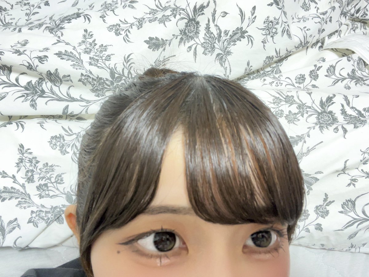 kanonge_'s tweet photo. おやぷみ https://t.co/9ohJFNDGeJ