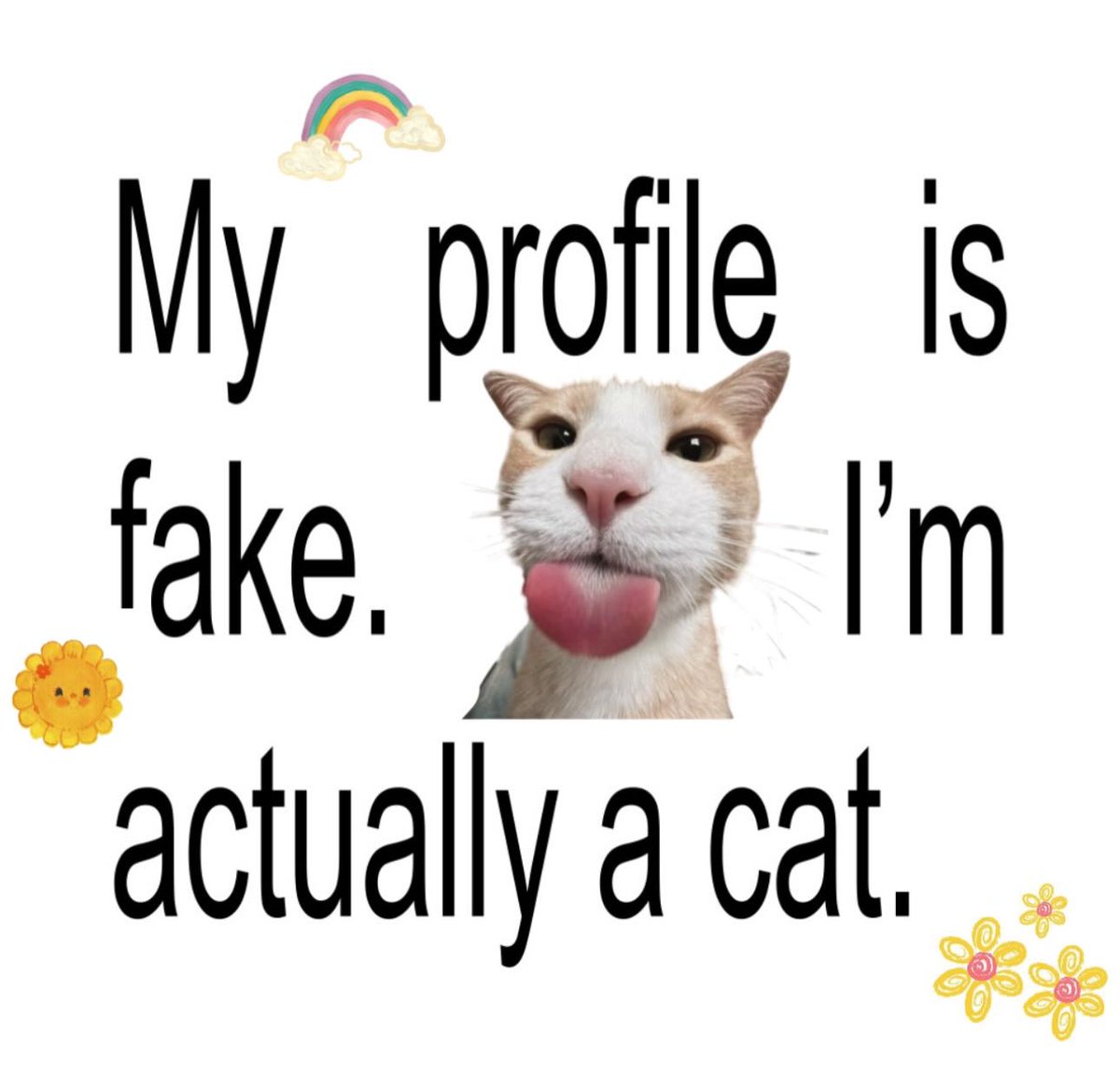 cats ♡ tweet media