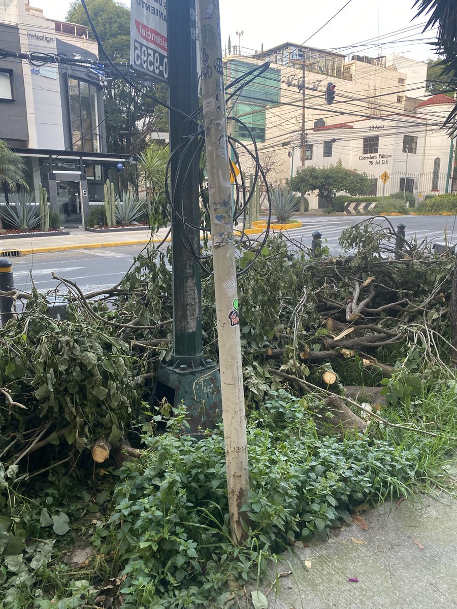 yemille's tweet photo. @BJAlcaldia ¿podrán limpiar esto que lleva más de una semana? @LuisMendozaBJ Matias Romero casi esquina con Amores en Colonia #DelValle. #BenitoJuárez https://t.co/4OYaIdgCyg