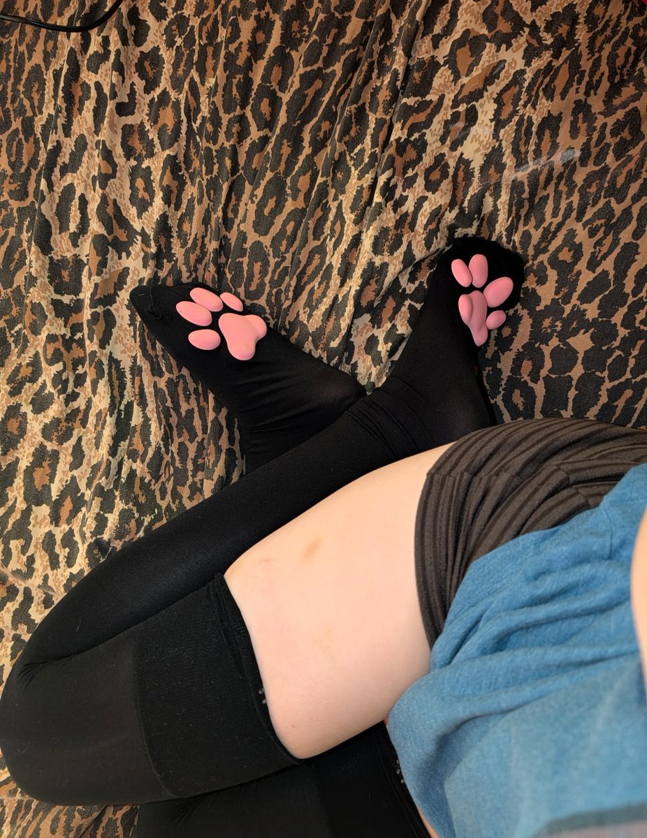 M0rgueMutt's tweet photo. Should I post more cat paw content?  #catpaw #pawsigns https://t.co/GQIdhx4PCZ