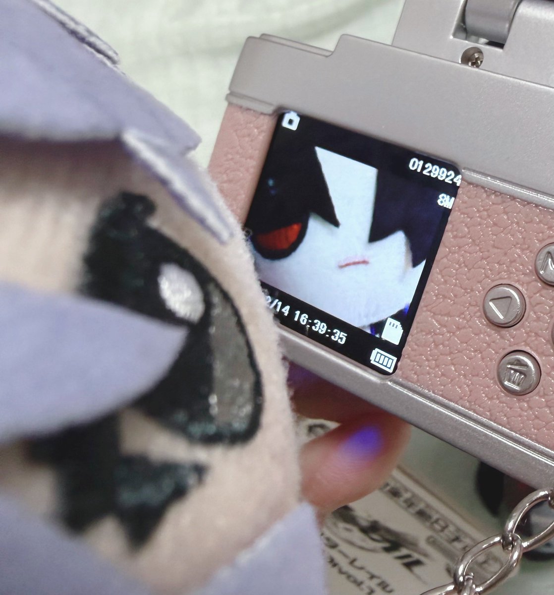 とん とんぶ tweet media