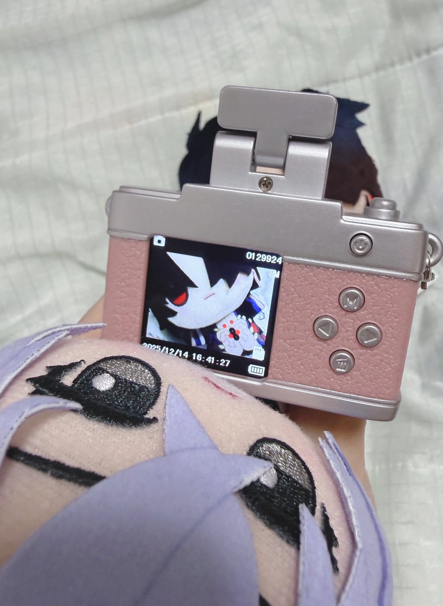 とん とんぶ tweet media