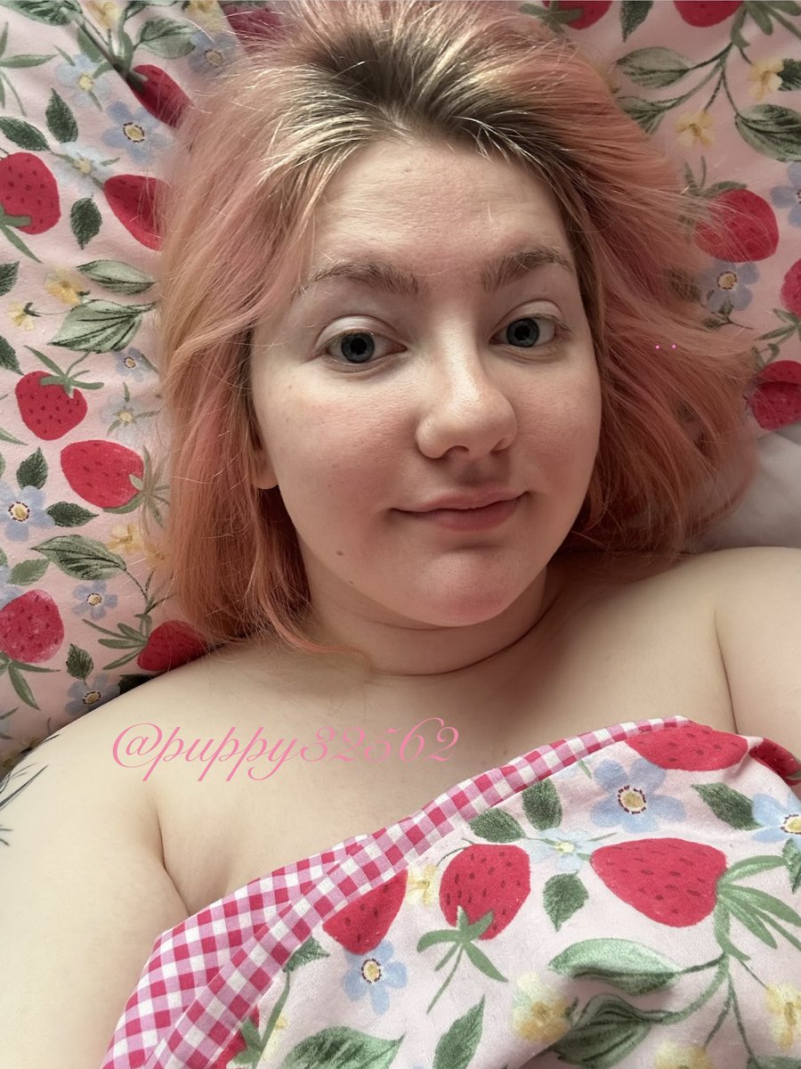 kitten ^~^ MDNI tweet media