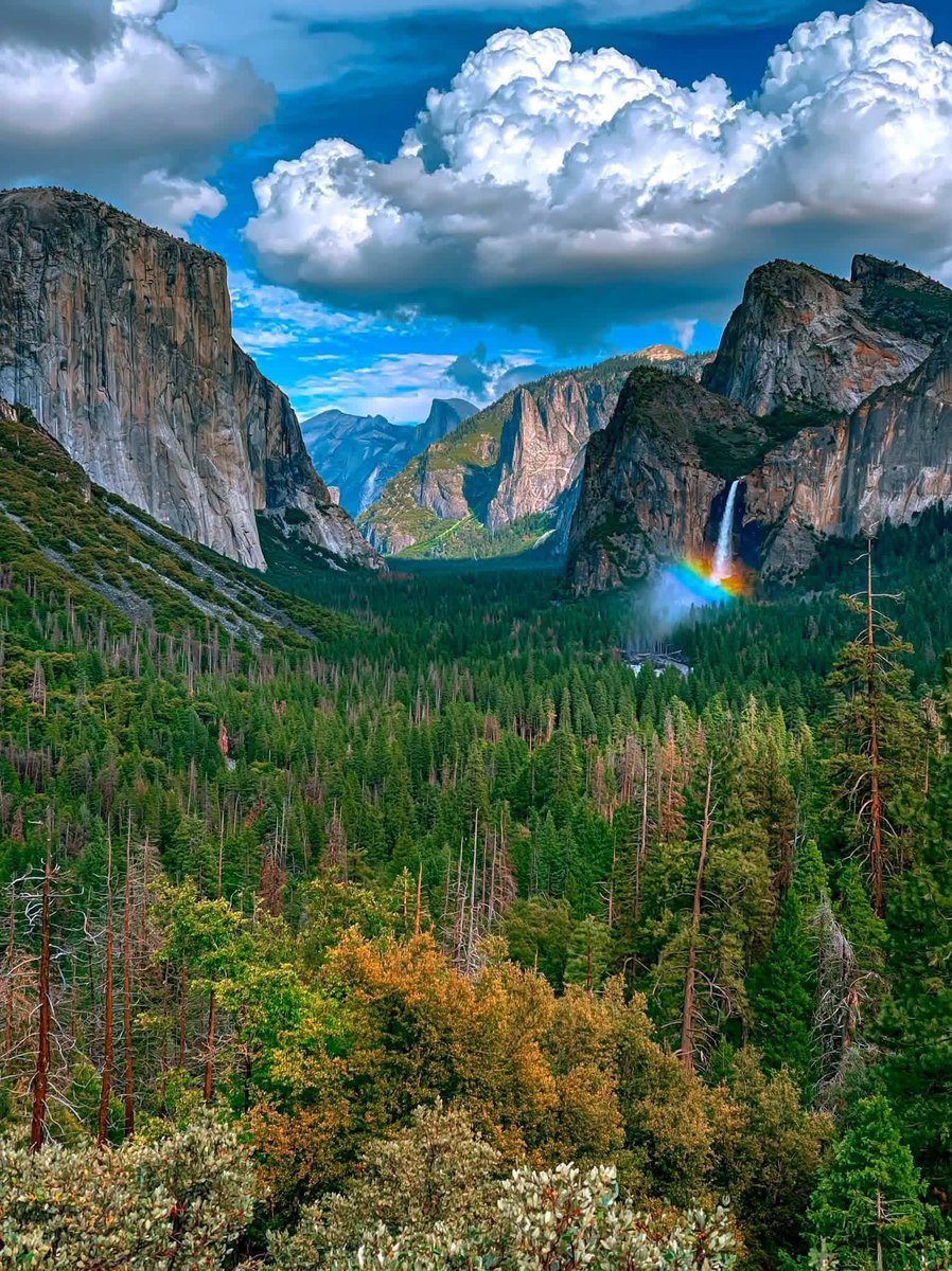 NaveedAnwar175's tweet photo. Yosemite National Park in California 😍 https://t.co/Xdy4bhzKnM