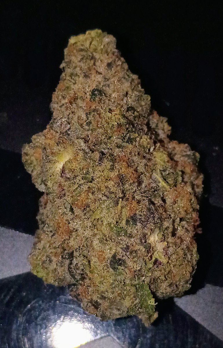 bannedme420's tweet photo. Thank you @KushWorld for the flower and vape! I must say she's photogenic at the very least lol 😂
Not sure what strain it is but I don't mind a mystery bag every now and again 🤨
#420community #mmemberville #calibud #thca #kushworld https://t.co/lGDOHhJFxI