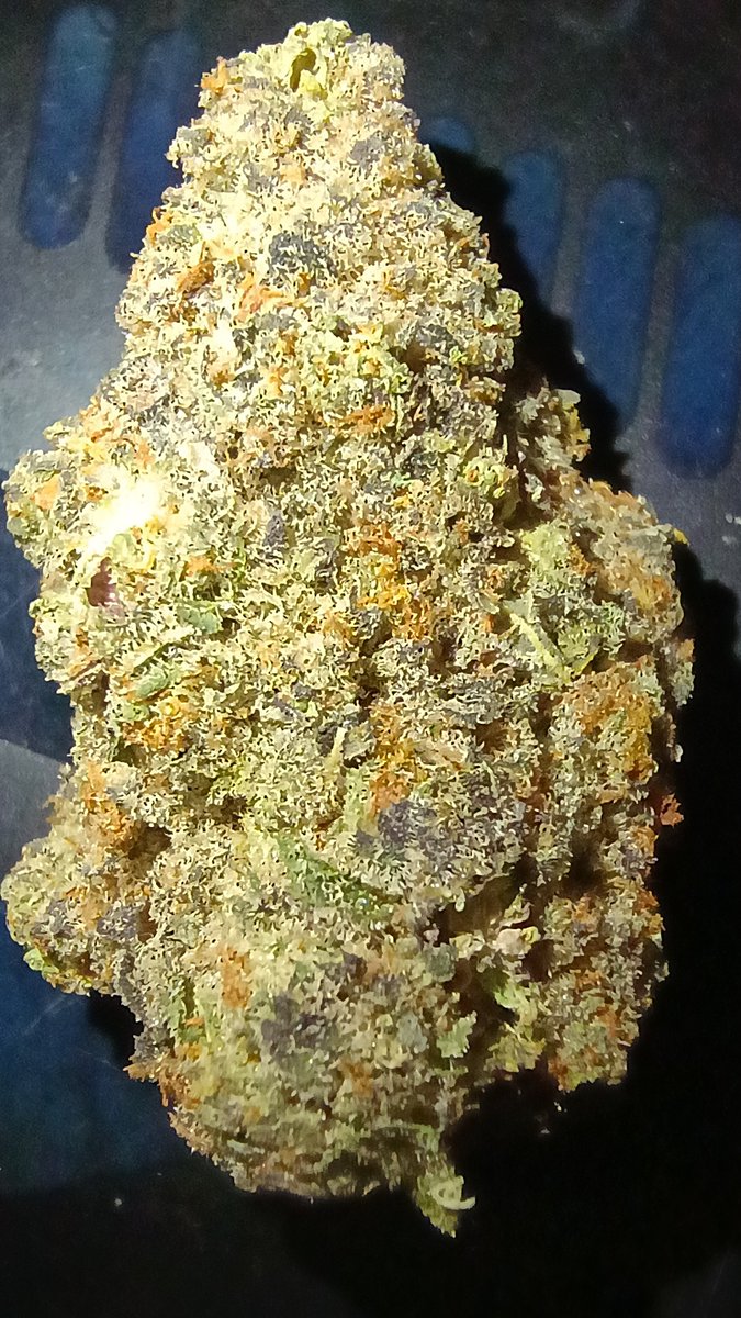 bannedme420's tweet photo. Thank you @KushWorld for the flower and vape! I must say she's photogenic at the very least lol 😂
Not sure what strain it is but I don't mind a mystery bag every now and again 🤨
#420community #mmemberville #calibud #thca #kushworld https://t.co/lGDOHhJFxI