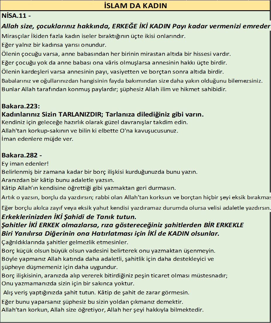 gulfskyview's tweet photo. @Personaaa126 @muratavc367697 @gundemedairhs https://t.co/xJZnhS8pCB