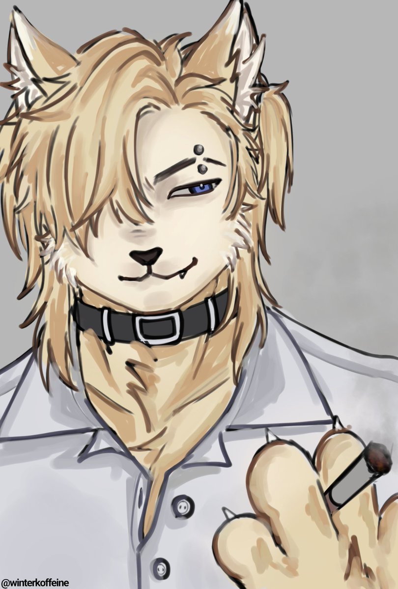 winterkoffeine's tweet photo. furry whitney😂😂 #degreesoflewdity #whitneydol https://t.co/ckTY8MeNy9