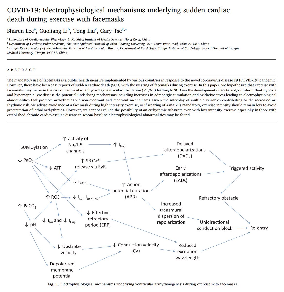 calotonterias's tweet photo. Hacer ejercicio con mascarilla puede generar toxicidad cardiovascular y favorecer arritmias, lo que podría aumentar el riesgo de muerte súbita.

Esto se debería a que la mascarilla aumenta la resistencia al flujo de aire (más de un 30%) y el espacio muerto (reinhalación de aire), lo que puede producir hipoxia e hipercapnia, disminuir el pH sanguíneo, hiperactivar el sistema adrenérgico elevando epinefrina y norepinefrina, elevar de forma excesiva o prematura la frecuencia cardíaca y la presión arterial, reducir la saturación de oxígeno, favorecer el metabolismo anaeróbico con acumulación de ácido láctico y generar alteraciones electrofisiológicas que predisponen a arritmias, especialmente en personas con cardiopatías previas o durante esfuerzos intensos. Además, se suman factores como que el aire reinhalado esté más caliente y húmedo, y el mayor riesgo de contaminación por manipulación de la mascarilla húmeda.

Estos mismos mecanismos podrían afectar también a otros sistemas (renal, inmune, cerebral, muscular...), siendo especialmente problemáticos para personas con patologías previas.