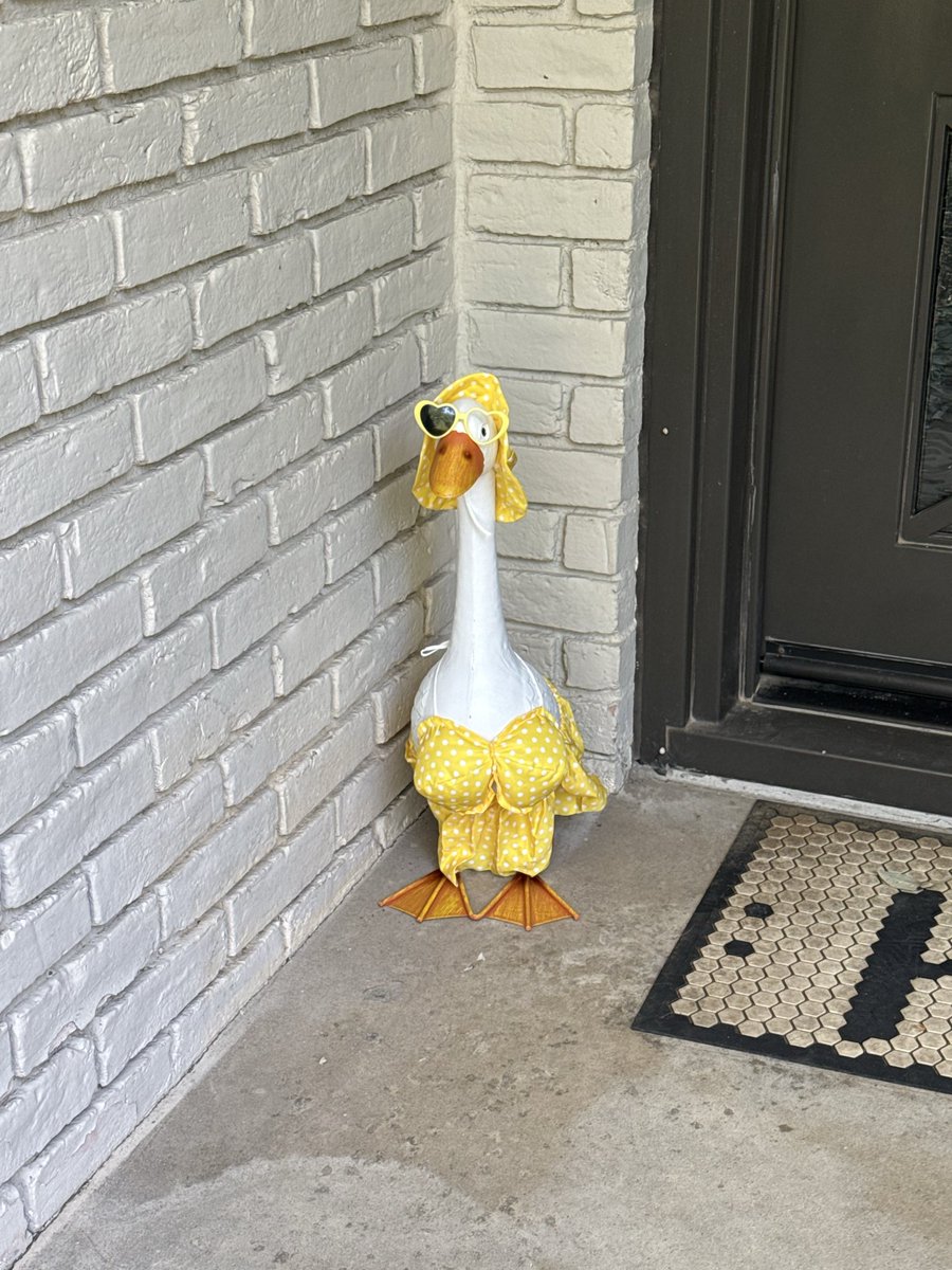 NotDuckHodges's tweet photo. Look at her @timanderson87 https://t.co/E8Ui7jB3mL