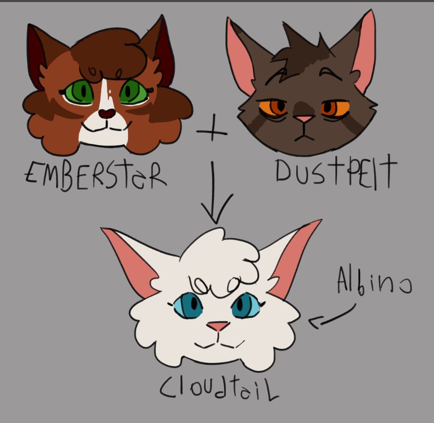 Randomic_things's tweet photo. Sketches i did at 3 am about a AU where Princess and Firestar switch places.

#warriorcats #warriorsau https://t.co/FaueRwNy2l
