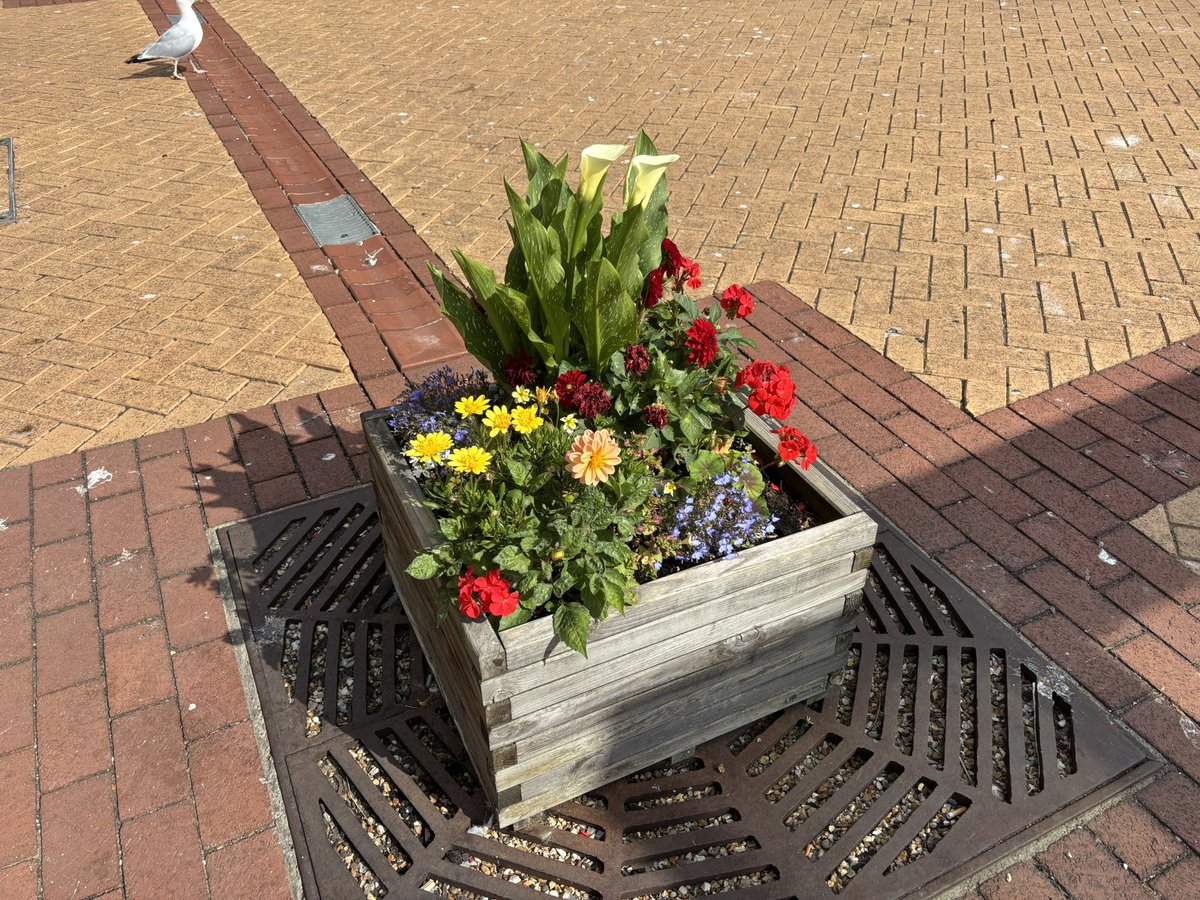 LowestoftCentr1's tweet photo. We’d like to express our thanks for all the kind messages after some of our planters at Lowestoft station were vandalised on Thursday evening / early Friday. Thanks to @WherryLines we have been able to undertake some replanting &amp; replace items stolen. #CommunityRail https://t.co/vTtBMkIENV