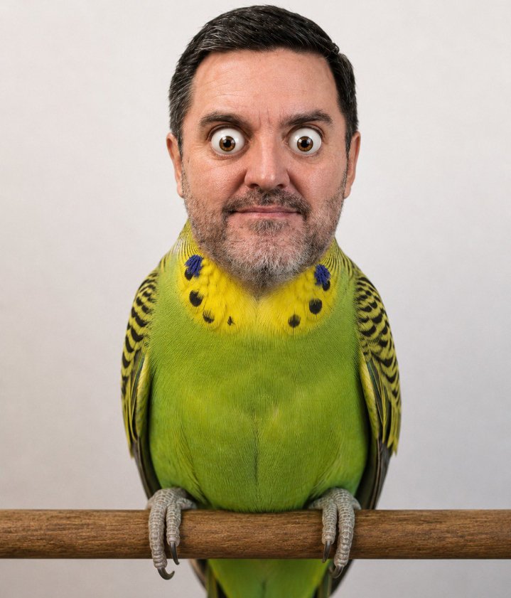 NanoDante6's tweet photo. El que es perico donde quiera es @FDoringCasar 
🫢 https://t.co/JqcR9g0CnU