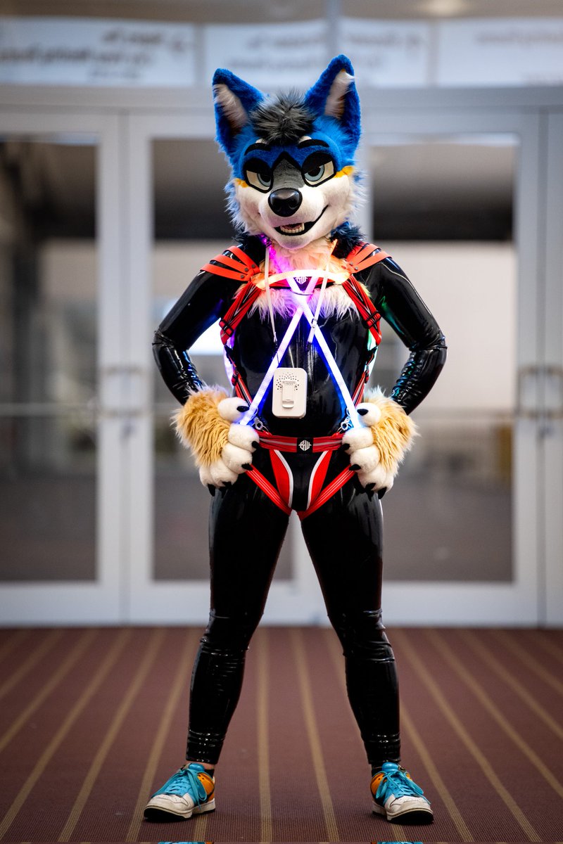 NexyAD's tweet photo. Here's the latex outfit I wore at Anthrocon! I really like the new harness 🥰
📸: @gryphonfluff | #ShinySaturday #LatexFur https://t.co/c6MI0LY0xw
