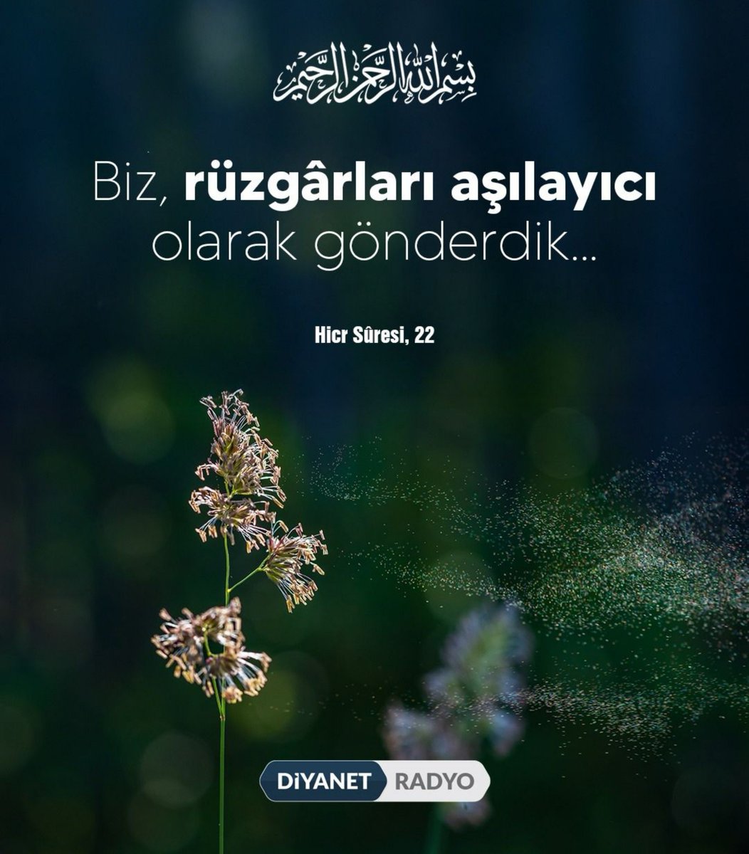 mehmedsema's tweet photo. #NamazGozumunNuru
💚💛💖💙
Medet Allahım Medet
Aziz Allah
Balıklıova için AKŞAM ezanı
Hayya ale'salah
Haydi namaza
Hayya alel-felah
Haydi Kurtuluşa
Ya Rabbim
Akşamın şerrinden koru
Sen hainlere fırsat verme ümmetin son kalesine Medet eyle
#AllahBizeYeter
#GazzeyiUnutma https://t.co/nLvgdrNtX6