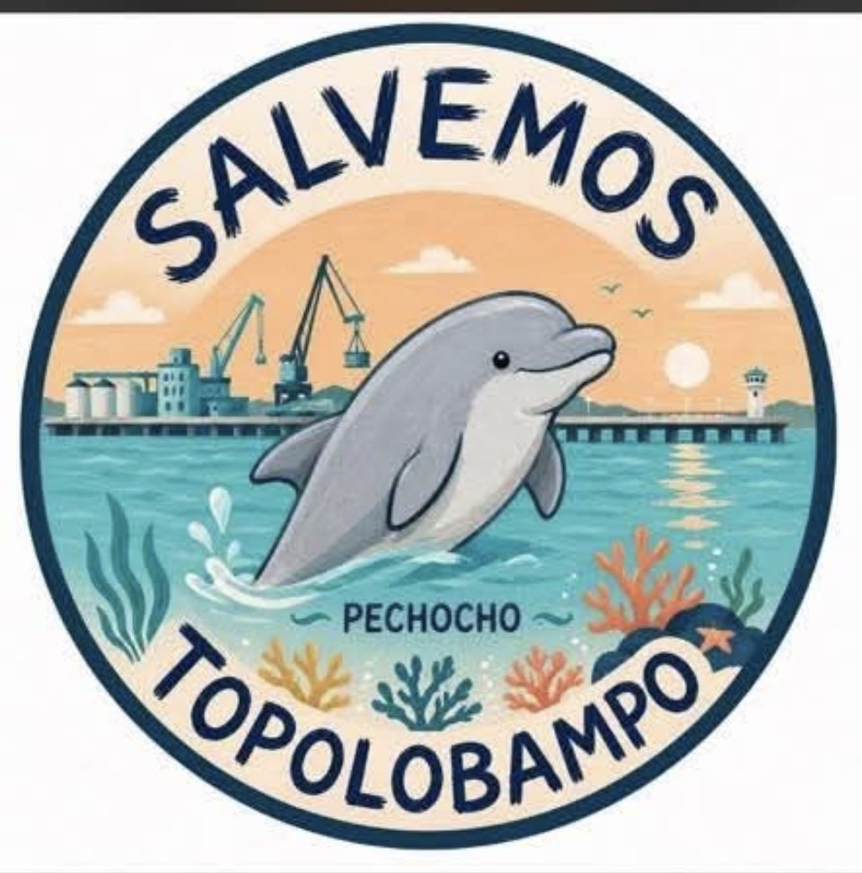 ndurancoronado's tweet photo. AQUÍ NO .

#SalvemosTopolobampoSinaloa 
Planta de Amoniaco https://t.co/QEbH7DQGRW