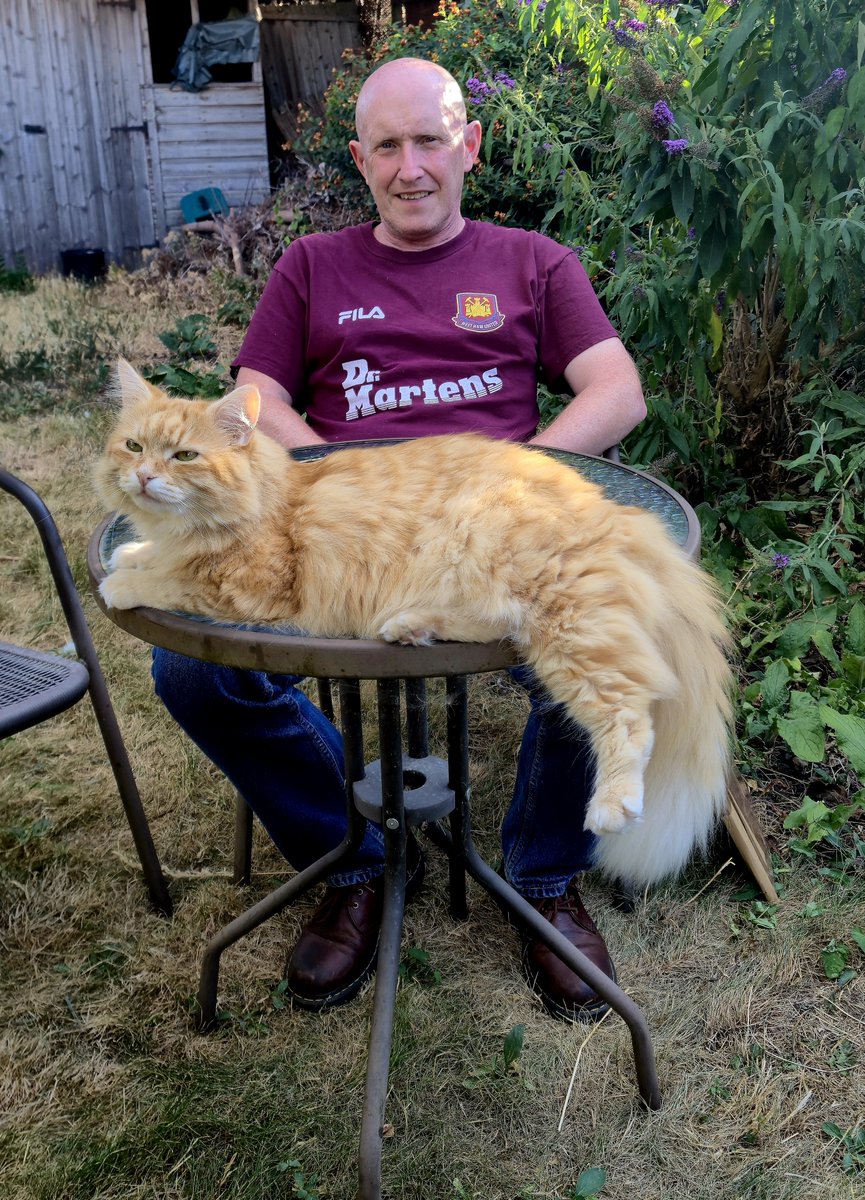 GingerGatsby24's tweet photo. Chillin in the shade with Dad on a hot summer afternoon https://t.co/MlhEgATomZ