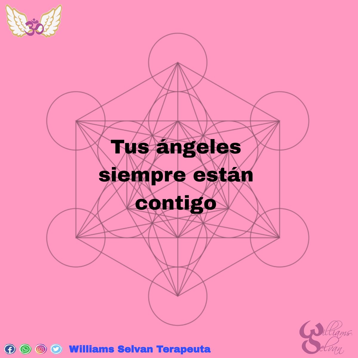 WilliamsSelvan's tweet photo. ✨ Amado, nunca estás solo; jamás te dejaremos, no podemos hacerlo pues es nuestro sagrado honor estar contigo y ayudarte cada vez que nos necesitas. Siempre vemos tu bondad, propósito y potencial estamos a tu lado ahora ✨

#IluminaTuAlma #Arcangeles #Sanacion #Consciencia https://t.co/DufkaTicj6