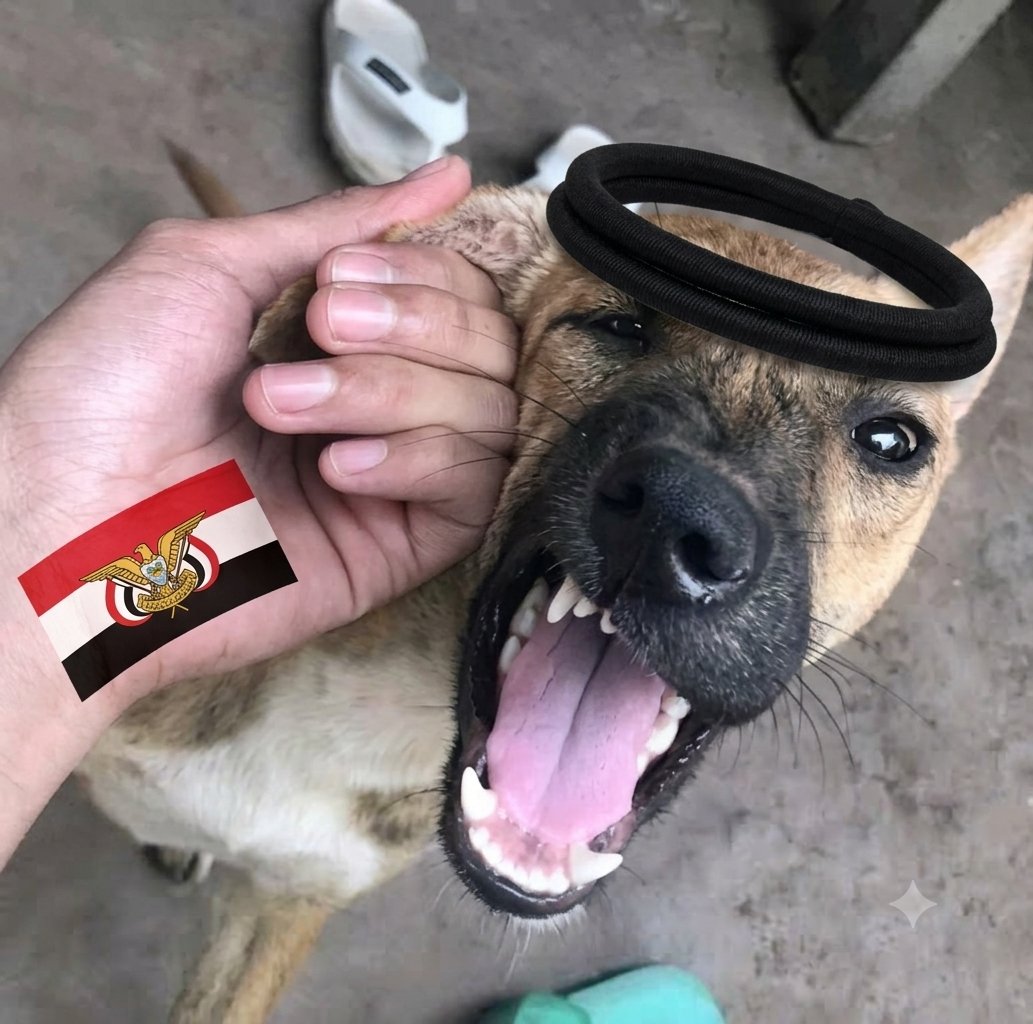 alaedroos's tweet photo. تأدب مع اليمني يا سعودي! 🇾🇪

ضربنا لكم  اليوم 🇸🇦💥  ما هو إلا "قبصة أُذن" ومجرد قرصة خفيفة عشان تعقلوا وتعودو لصوابكم!
لم نستخدم القوه معاكم..💣💣 مجرد تحذير 🚫🇾🇪

اليمن خط أحمر، واللي ما يربيه عقله.. نربيه بالنار🚀🚀 والحديد! 💥

#الحصار_بالحصار 
#التصعيد_بالتصعيد https://t.co/zes2HU5Wp9