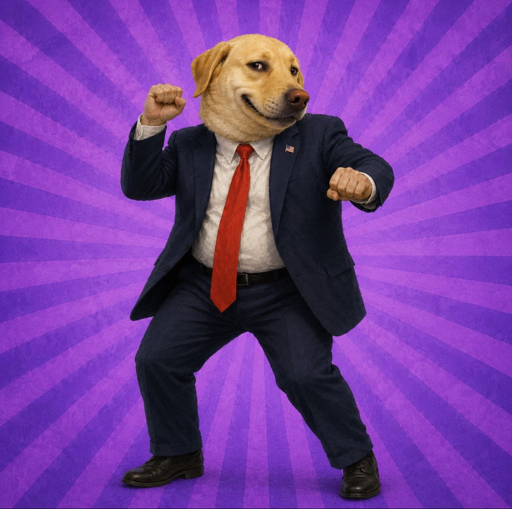 beanssscoin's tweet photo. Weekend vibes https://t.co/FkuDn5QNv1