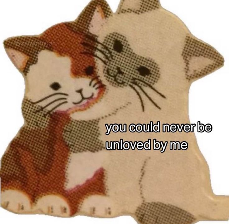 Nightbloomc's tweet photo. you cold never be unloved by me https://t.co/WWY2UqO563
