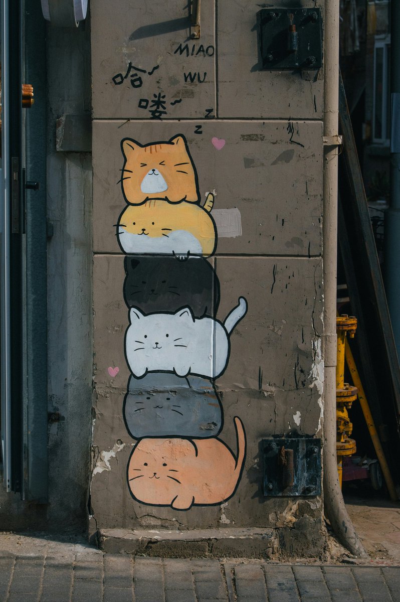 cutedreamvibes's tweet photo. https://t.co/mlEozyubKQ