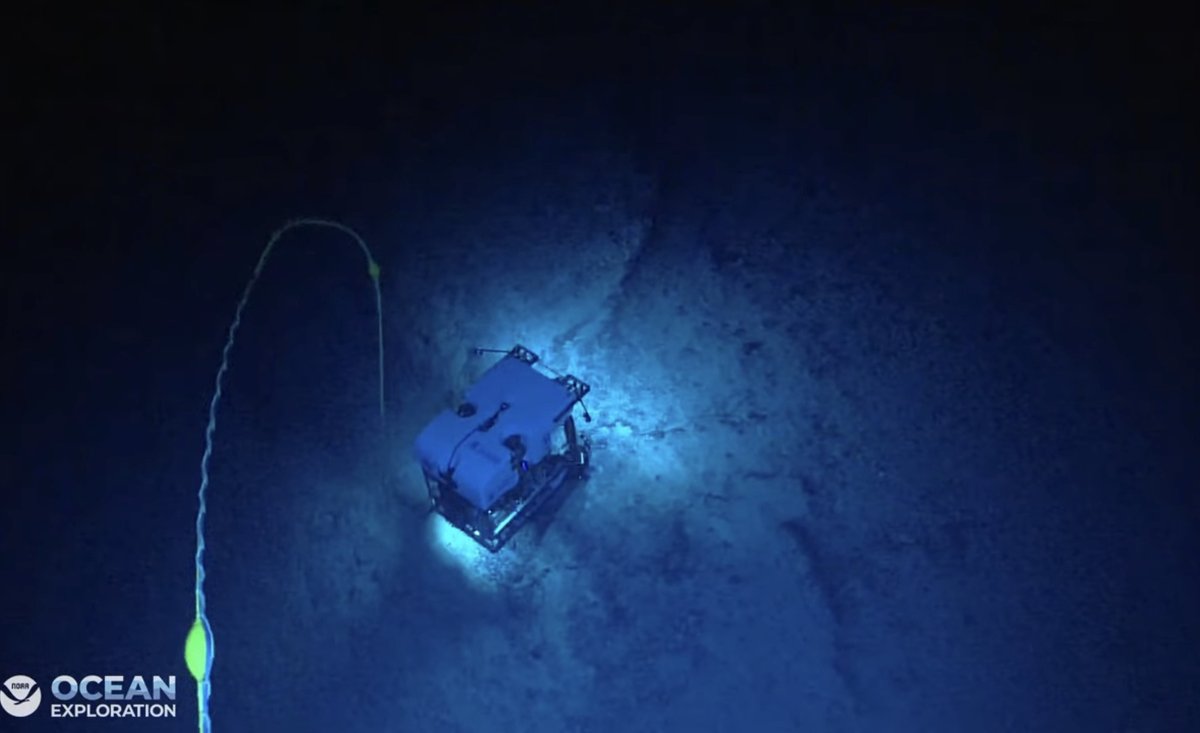 oceanexplorer's tweet photo. While we’d hoped to conduct an #Okeanos dive today on an abyssal plain habitat, we encountered some issues with our ROV. So we’ve canceled today’s dive and hope to be back in the water tomorrow. Stay tuned! https://t.co/Vky1XPasiG