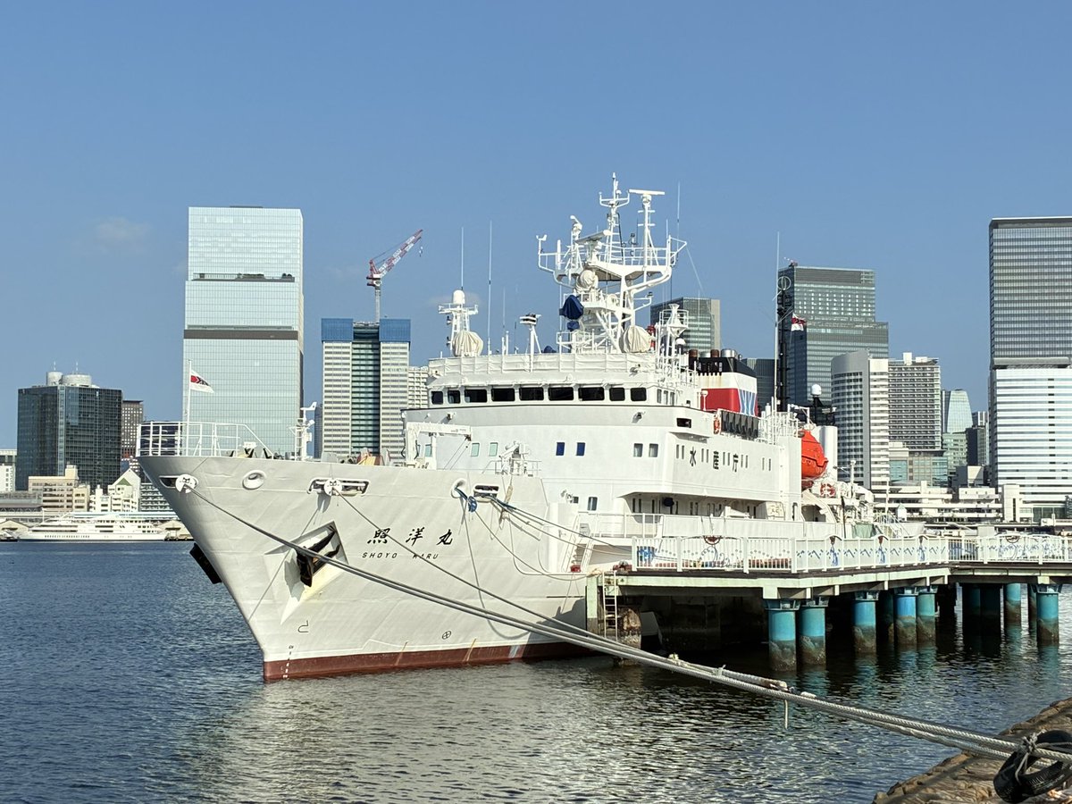 downtown_middle's tweet photo. お早う御座います。まだ時間が早いからかそんなに暑くありません。だけど手持ちの温湿度計では、気温30.8度、湿度69% 日陰だとさらに涼しい。 https://t.co/9KtprOZl3H