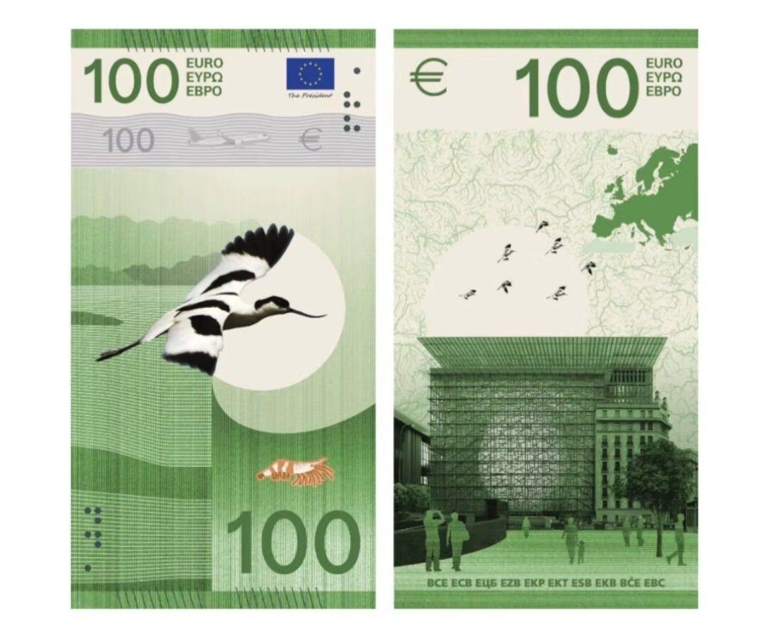 Maranii0's tweet photo. Ich find die hochkanten Vögel actually besser, vorallem weil da noch süße Insekten drauf sind (+Garnele) https://t.co/uFqmO72tSu