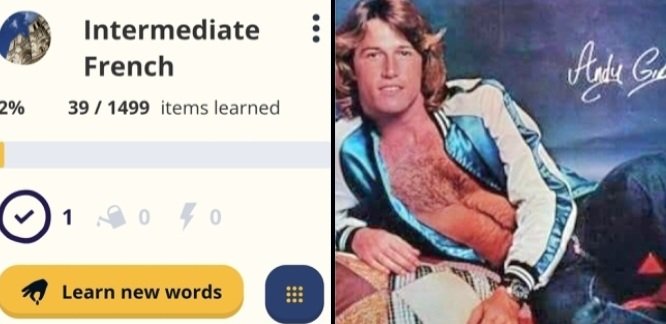 AussieLady75's tweet photo. My Intermediate French course is getting a bit harder now 🇫🇷 

Someday, l'll translate Andy Gibb songs into French, then sing them in French to French speaking people. Maybe even create a website written in French about him, and his daughter Peta 🥰

#French #Language #AndyGibb https://t.co/AwksMESU31