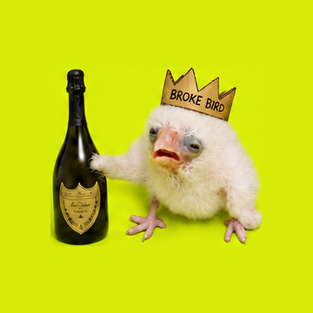 BrokeBirdCoin's tweet photo. Lemme hit you wiv some quick maff:

Launched 2 days ago, already at 5k mcap. 

In 17 days we’ll be at 1m

37 days 1b

Day 100 we flip global GDP

This shits too easy. Stay broke retards. https://t.co/JPPeLan0yM