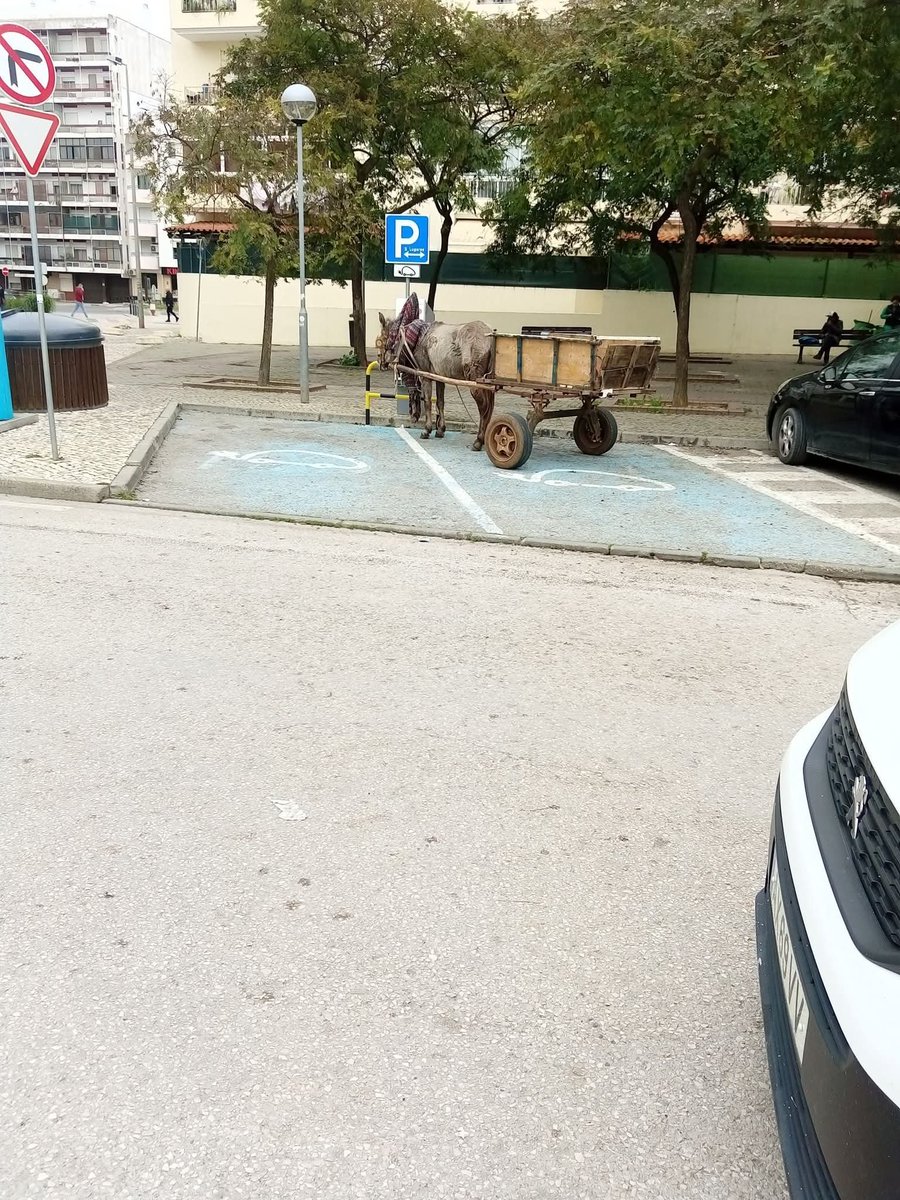 BilbiaOfissial's tweet photo. Burro elétrico https://t.co/g2tm71ER8l