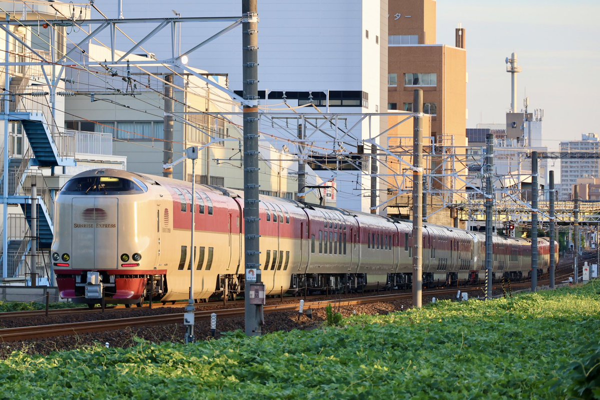 hideg1206's tweet photo. 285系 寝台特急サンライズ出雲・瀬戸号

2026年7月26日（日）
昨夜、静岡地区で降った大雨の影響でサンライズも大幅な遅延となり、早朝名古屋に到着となりました。 https://t.co/2S0jhwUWfs