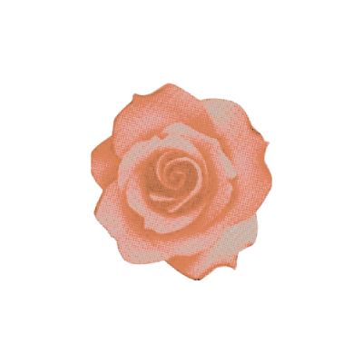 SofttRequiem's tweet photo. Info https://t.co/xAW6vquiTz