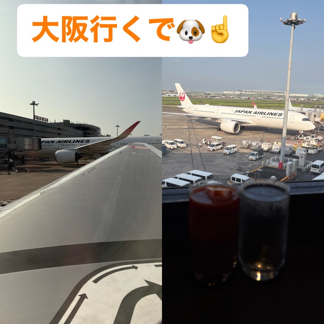 mont_pte's tweet photo. 大阪行くで🐶☝️ https://t.co/sW0SJJpyFF