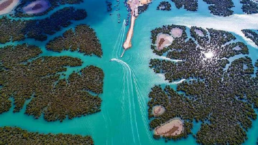 KZiabari's tweet photo. As per @UNESCO, July 26 is the International Day for the Conservation of the Mangrove Ecosystem. The US-Israeli war of aggression against #Iran has caused enormous damage to the Hara Biosphere Reserve in southern Iran, where oil leaks are degrading Qeshm Island's mangrove forests https://t.co/BbRaTUlQKd