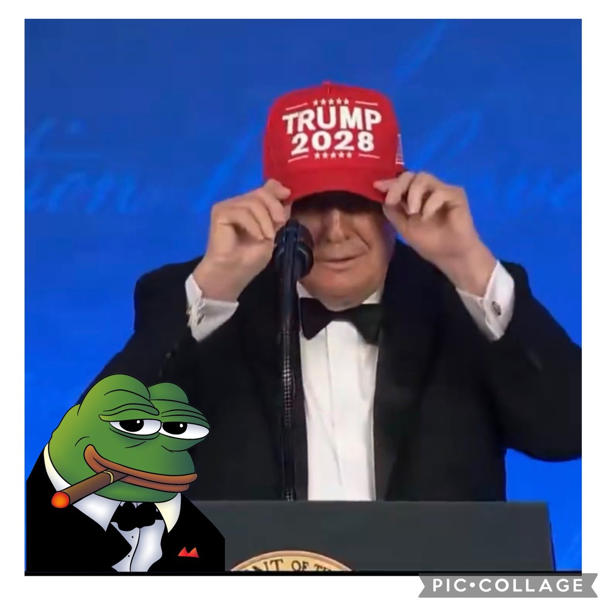 TheMightyB76's tweet photo. @cb_doge I can’t wait to vote for him a 4th time! 🔥🔥🔥 https://t.co/0PykfA6NAa