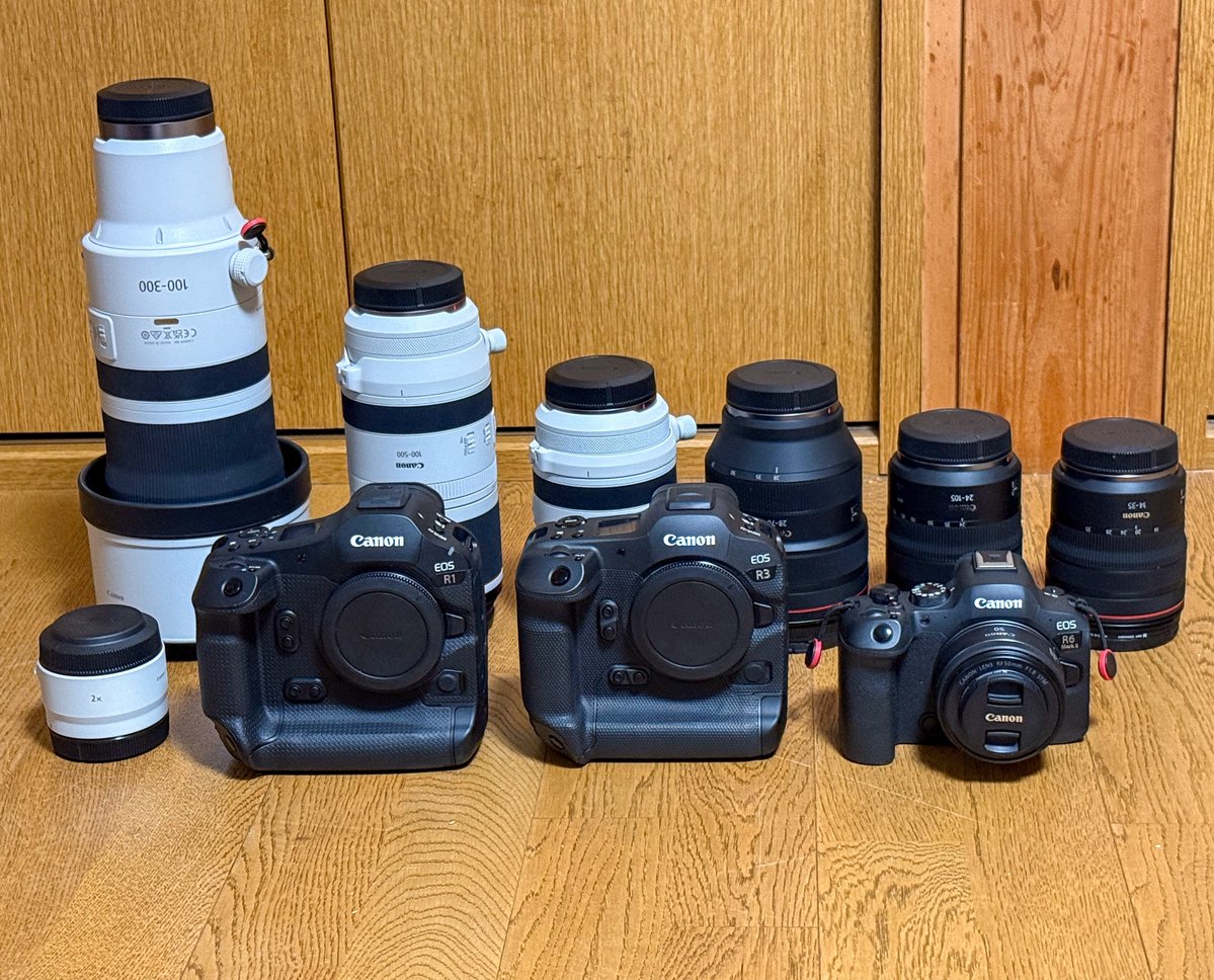 taiyou_syasin12's tweet photo. カメラを始めるとき、ある方から「予算が許すなら、できるだけ良い機材を買った方がいい。最高の機材を使って初めて、描写の良し悪しを正しく判断できる『基準』が身につく」と教わりました。そのため、私はレンズをすべてLレンズで揃えました。

「初心者にはもったいない」と言われることもありましたし、最初は正直持て余していましたが、振り返ってみれば、最初から一流の道具に触れたことで、描写を見極める審美眼が圧倒的なスピードで育ったと感じています。