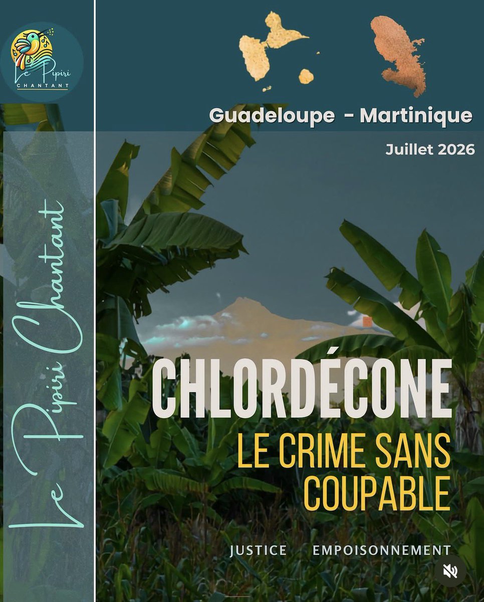 LePipiri's tweet photo. DOSSIER 01 DU PIPIRI CHANTANT 

Ici, on informe, on explique, on questionne et on ouvre le débat.

Insta -  X - FB et bientôt YT &amp; Tktk

Rejoins les Pipiris !
Abonne-toi, mets des Likes, partage … Participe au décollage du Pipiri. https://t.co/XYKcTO230B