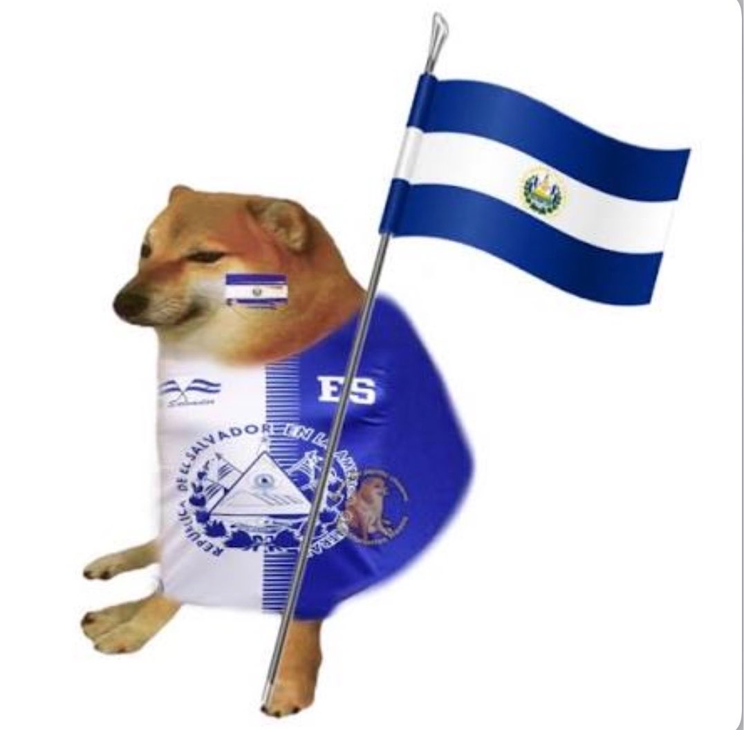 thelifeoftochi's tweet photo. yo todo el año diciendo que a la primera oportunidad de irme del país me largo 
yo cuando Fernanfloo en la velada: 
#VeladaDelAñoVI https://t.co/pjOpbmIowz