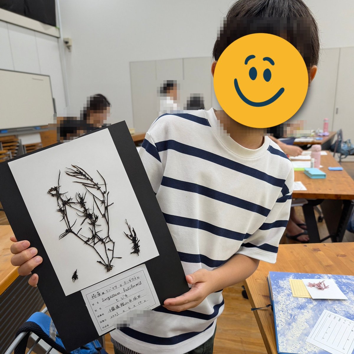 Jasmintmm's tweet photo. 海藻標本作成してきた🌿

3年目のエントリーでやっと当選した人気WS✨
海洋大学の先生が海藻、海草の違い、ブルーカーボンの役割を教えてくれた
たくさんの種類の海藻を標本にしたけど、全部は出来なかったから続きは家で📖

浜で持ってない海藻見掛けたら拾ってしまいそう🤭 https://t.co/sZEsUjofmM