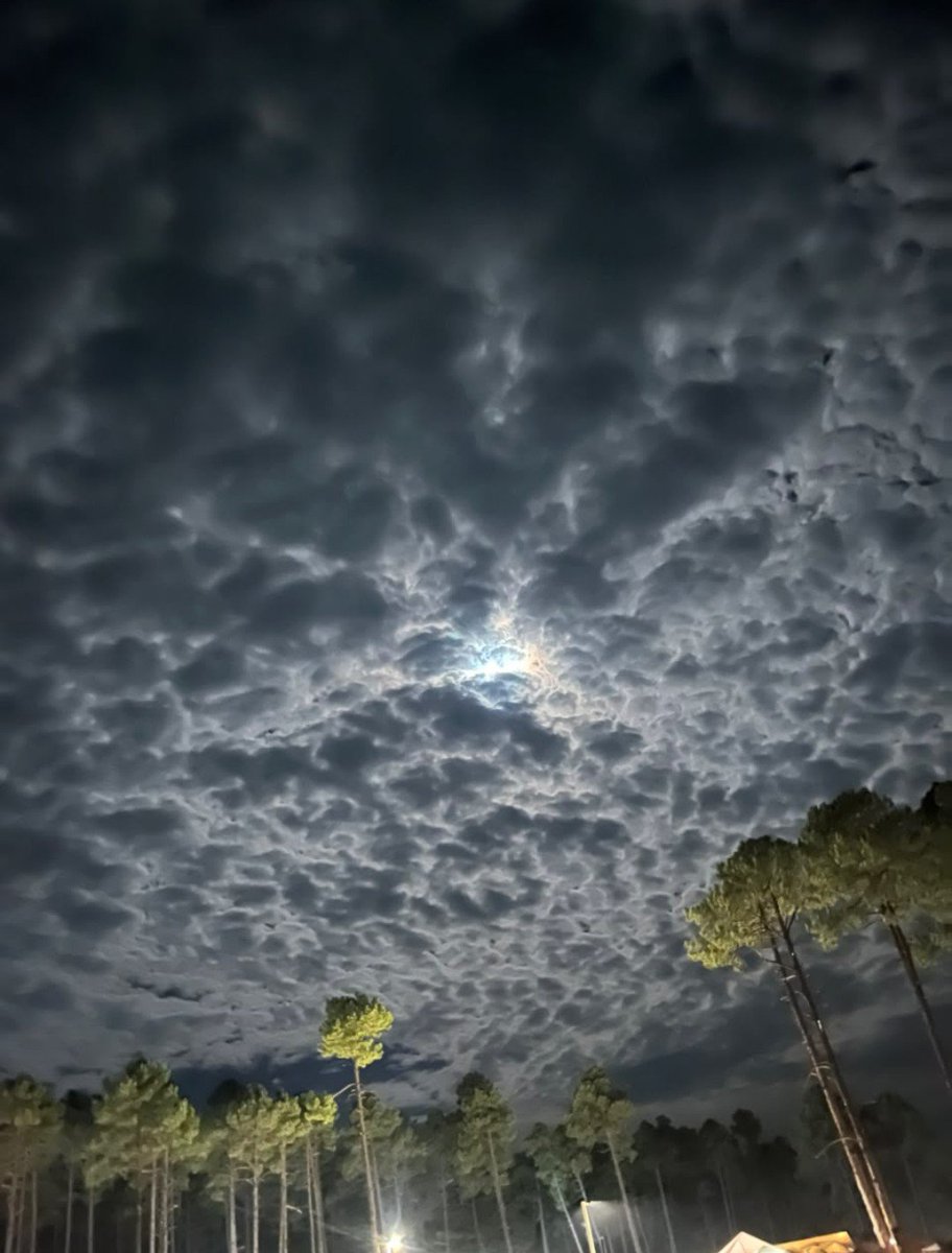 marek12127's tweet photo. Así anoche el cielo en #SanJuanito #Chihuahua 🤩😶‍🌫️ https://t.co/kT9Hrq0G3v