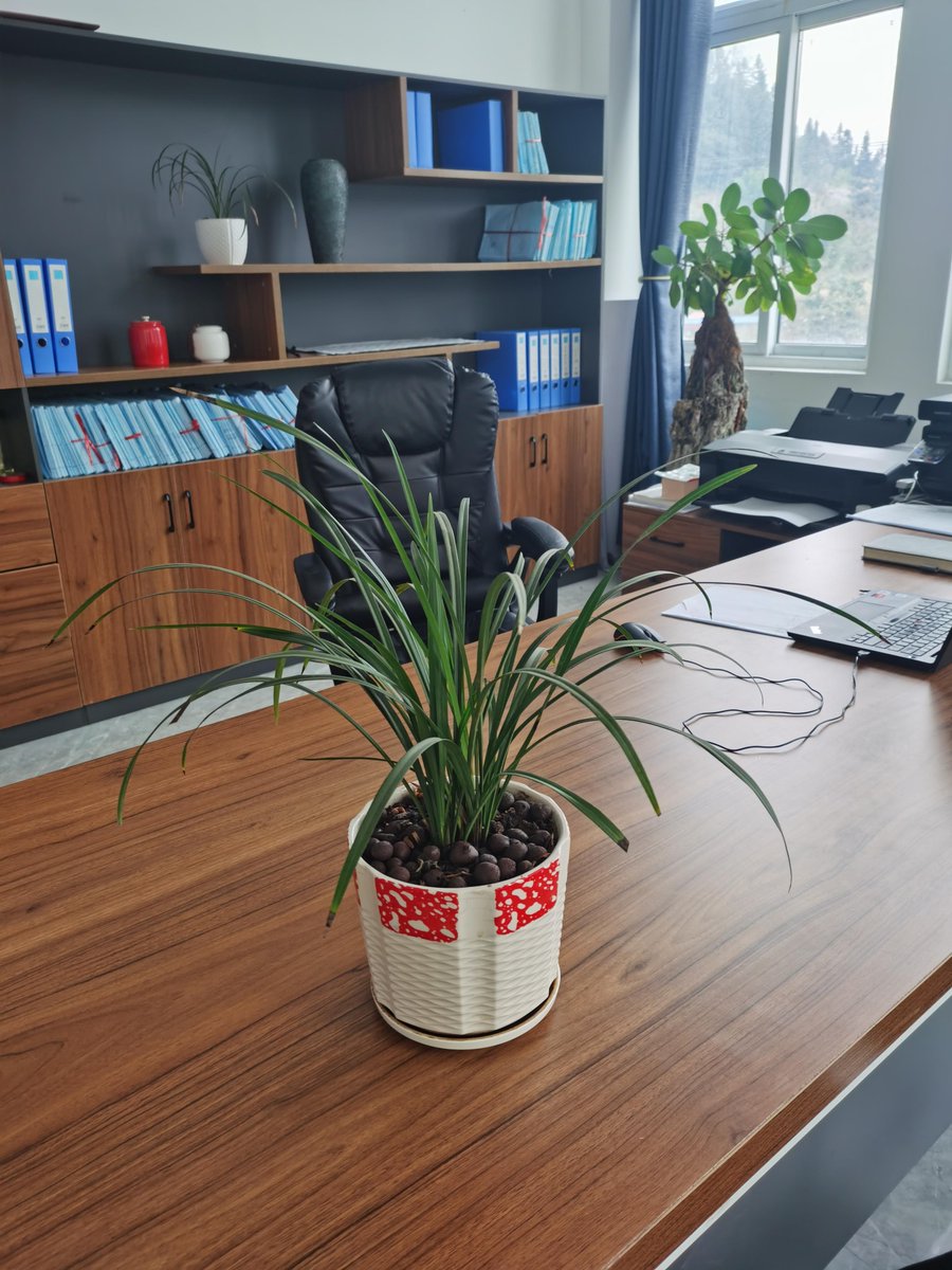 BarberaConces's tweet photo. Tiny desk makeover done! Cleaned up the cable mess, added a potted succulent and a cute notebook. Working from home just got way nicer. https://t.co/f9cuoTaKDn