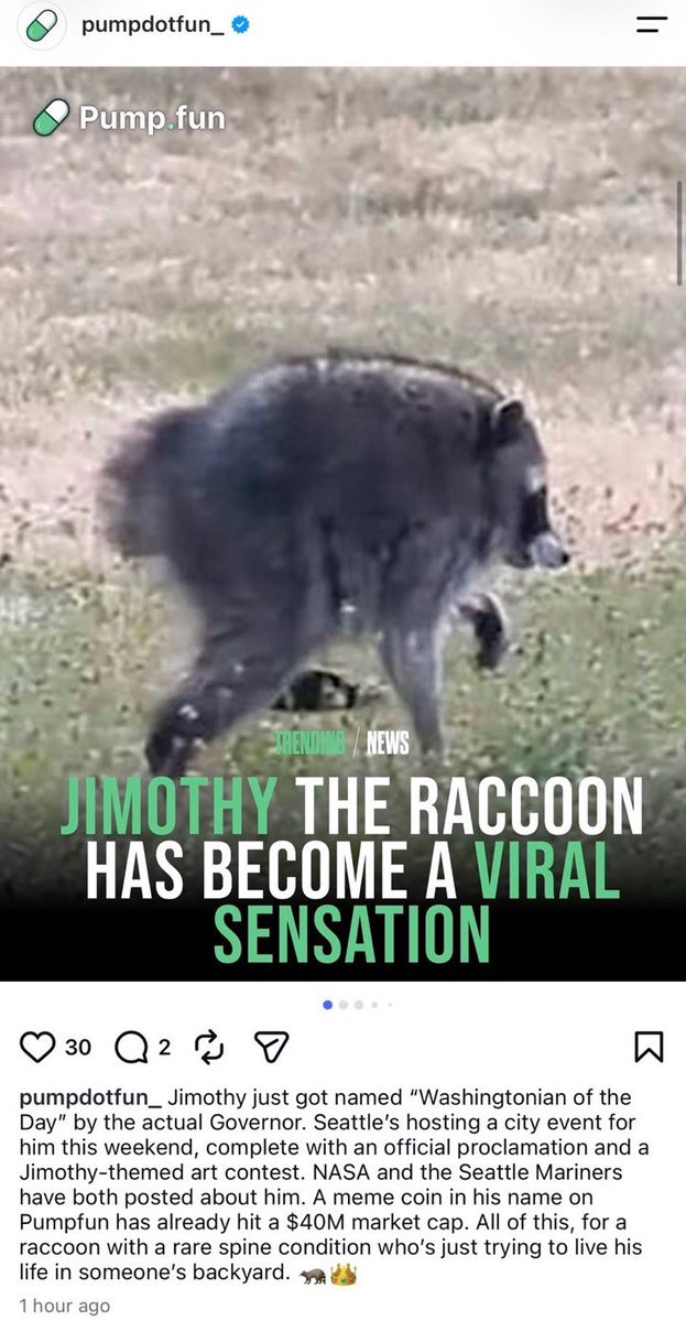 JimothyOnSOL_'s tweet photo. Pumpfun just posted about Jimothy on their Instagram 🦝 https://t.co/xDN3VACSYn