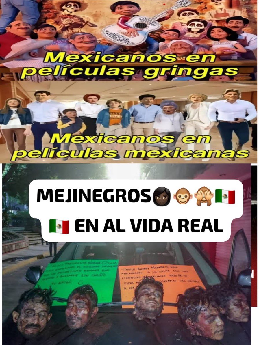 campeón del mundo⭐⭐⭐ tweet media